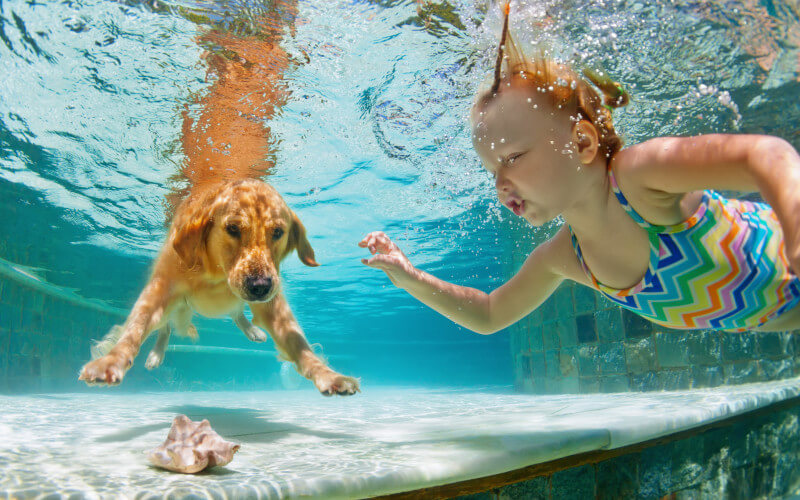 girl and dog swimming underwater in a pool